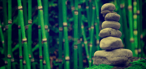 lotus-qigong-classes