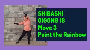 shibashi set 1 paint the rainbow