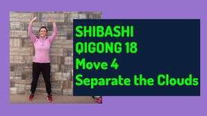 Shibashi Paring The Clouds