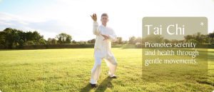 tai-chi-in-the-park