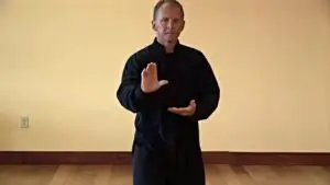 Repulsing The Monkey