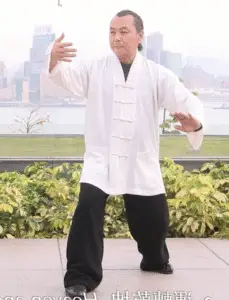 Warding off in Tai Chi